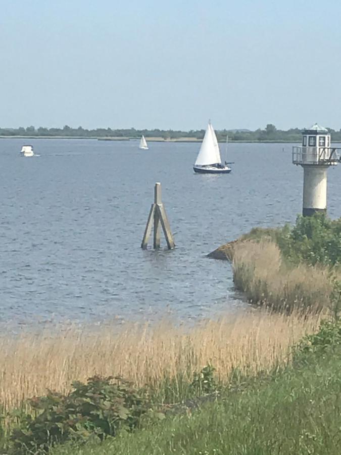 De Lauwersmeer Vogel Mit Eingezaeuntem Garten Anjum Exteriör bild