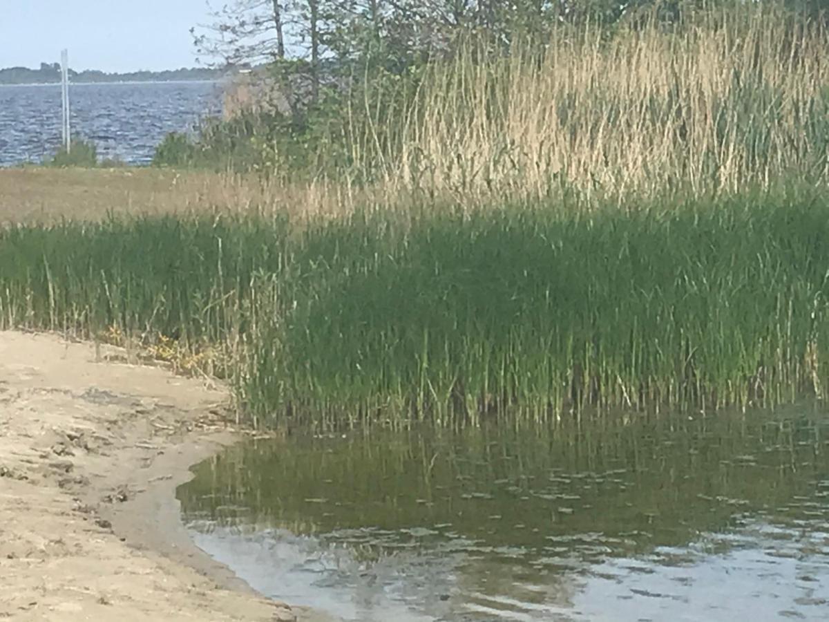 De Lauwersmeer Vogel Mit Eingezaeuntem Garten Anjum Exteriör bild